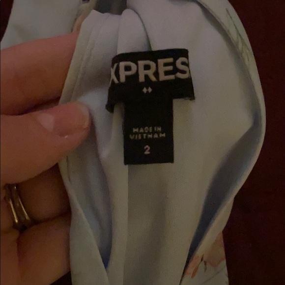 Express Dress - Picture 3 of 3